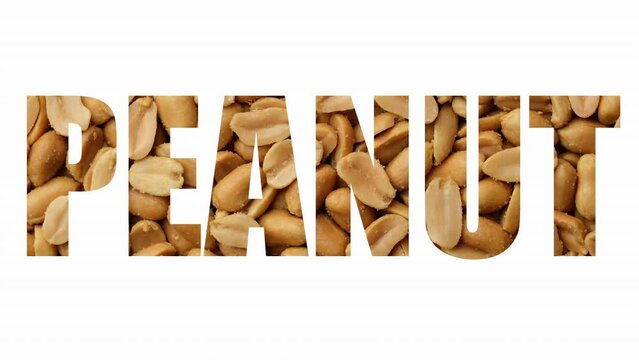 A sign Peanut on white background. Word Peanut. Salted roasted peanuts in word - peanut