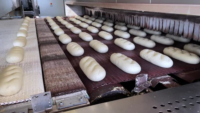Big bakery bread industrial production line. Fresh bread dough entering the Bread Baking Furnace. Conveyor Belt of Industrial Bread Baking Tunnel