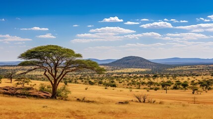 Fototapeta na wymiar A vast, golden savanna with acacia trees on the horizon