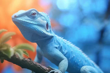 Foto op Plexiglas blue lizard roaming in the wild forest © robi