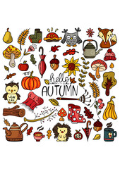 Set of hand drawn doodle elements about autumn