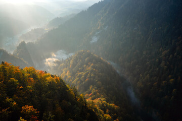 Obraz premium fog in the mountains