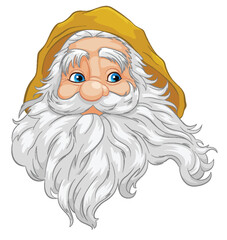 Elderly Man with Long Beard and Mustache