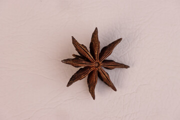 Dried Chinese Star Anise Seed