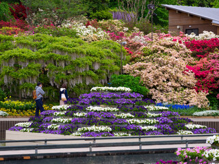 Quadrilateral flower bed in a pond with boardwalk (Ashikaga, Tochigi, Japan)