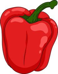 Hand drawn colored illustration of different types of pepper. Bell sweet peppers, paprika. Vegetables painted on white background. Vector sketch food.