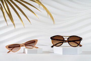 Two pairs of Trendy sunglasses on podiums on a white background with golden palm leaves. Fall...