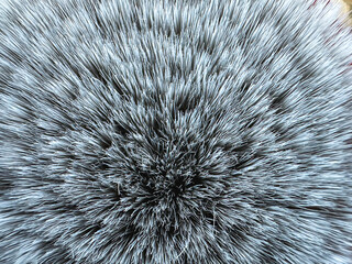 A close-up photo of gray fur, showing a soft and fluffy texture