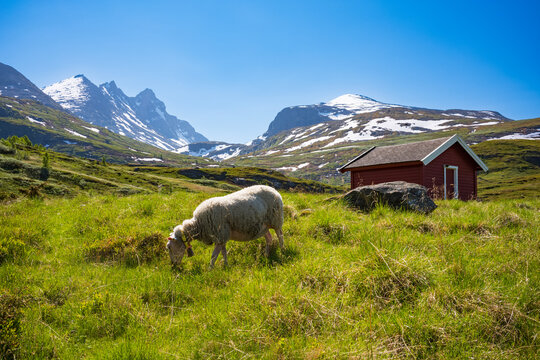 Ekrehytta mountain range seen from Turtagro, Norway at Jotunheimen National Park, with clear skies during a summer day.
