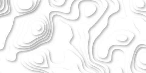 Abstract white paper cut background with lines. Background of the topographic map. White wave paper curved reliefs abstract background. Realistic papercut decoration textured with wavy layers.
