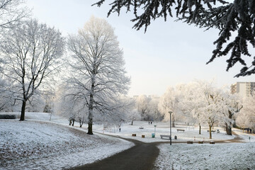 city park, children's playground in winter, beautiful crystal frost on foliage and tree branches, frosty morning, weather concept, beauty of nature