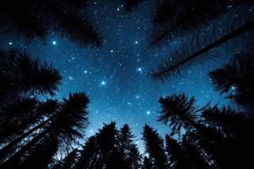 Naklejka premium night sky in forest, view of star on night sky through tree brunches. AI Generative