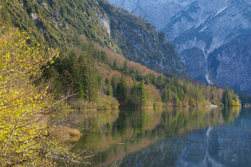 Fototapeta premium Mountain Lake and Trees on a Sunny Autumn Day