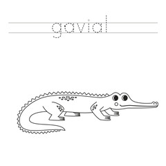 Fototapeta premium Trace the letters and color cartoon gavial. Handwriting practice for kids.