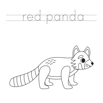 Trace the letters and color cartoon red panda. Handwriting practice for kids.