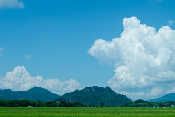 Blue sky and mountains and rice fields