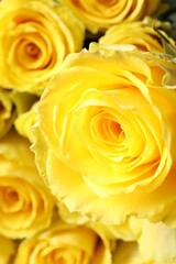 Beautiful bouquet of yellow roses, closeup view