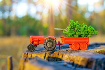 Miniature Tractor with a Tiny Tree in a Forest Setting