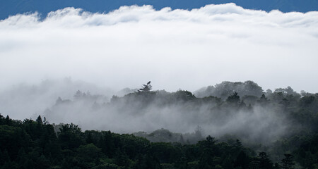 美しい雲海