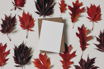 Autumn composition. Colorful red, crimson oak and maple leaves isolated on white background. Blank...