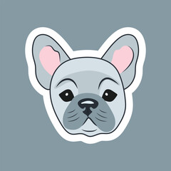 Sticker Head of a cute blue-gray French bulldog puppy on a dark background
