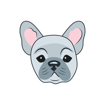 Sticker Head of a cute blue-gray French bulldog puppy on a white background