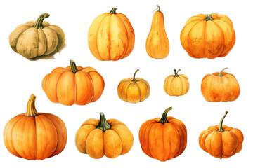 Collection of pumpkins watercolor on a white or Transparent background. PNG