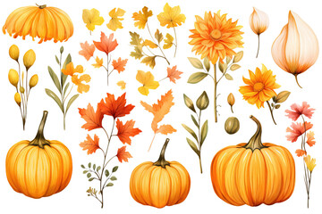 Autumn Pumpkin with Flowers Watercolor Clip Art Illustration on a white or Transparent Background. PNG