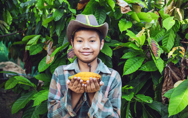 Portraits of Asian boy cocoa farmer happy smiling at harvested ripe cacao pods in hand agriculture...