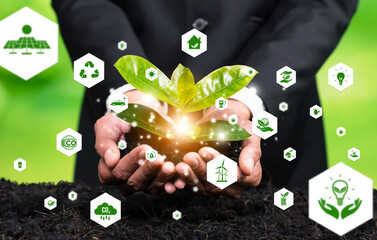 Business investment in reforestation, businessman growing young seedling plant on soil as ESG...
