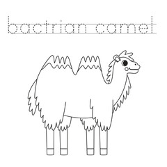Trace the letters and color cartoon bactrian camel. Handwriting practice for kids.