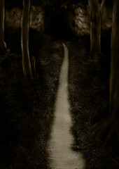 セピア色のトンネルに続く細い山道