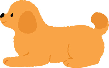 Simple and adorable Toy Poodle dog lying down illustration