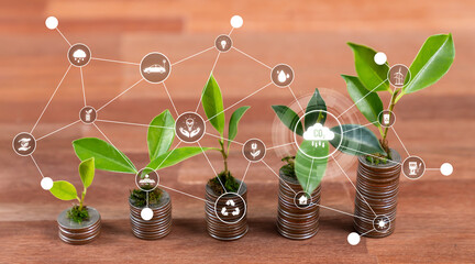 Growing young tree seedling planted on top of coin stack with ESG business investment with...