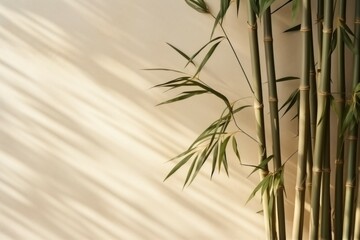 Obraz premium Bamboo background or backdrop with selective focus and copy space for text