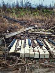 A broken sad piano in the grass in autumn 