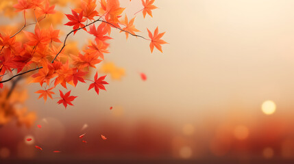 Naklejka na ściany i meble Autumn leaves background, Web banner design for autumn season
