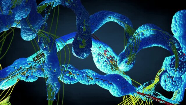 Chain of amino acid or bio molecules called proteins