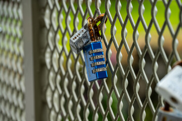Double padlocks on a fens of a bridge.