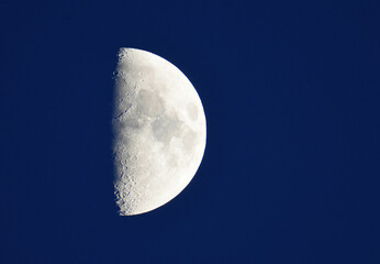 Half Moon early evening visible craters.