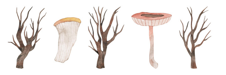 Set of watercolor drawings of autumn trees without leaves and mushrooms. Hand drawn.