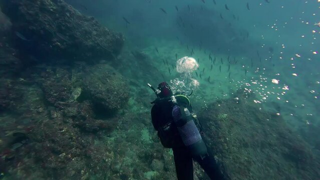 POV shot of beautiful underwater world of malta during a dive with view of a diver in scuba gear looking towards a school of fish and oxygen bubbles gliding towards camera in slow motion