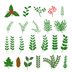 set of leaf and green plant icons design vector elements