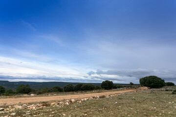 Paisaje con nubes en el cielo de un camino y un bosque
