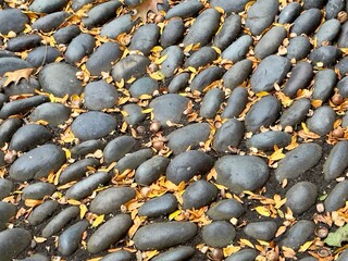 black and white stones in Salem