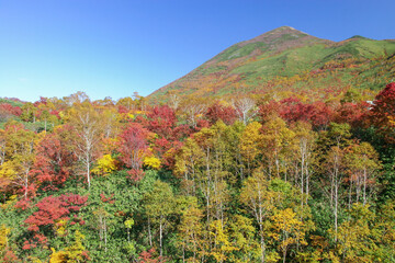 ニセコ五色温泉界隈の紅葉風景