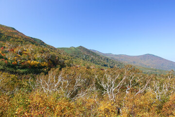 ニセコ五色温泉界隈の紅葉風景