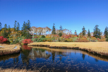 ニセコ五色温泉界隈の紅葉風景