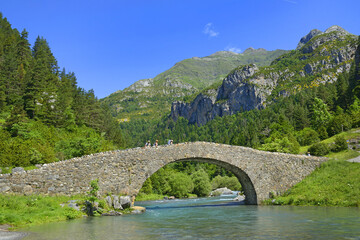 Fototapeta na wymiar Romanesque bridge in the valley of Bujaruelo, XIII century on the Ara river, in the Aragonese Pyrenees, Huesca, Spain