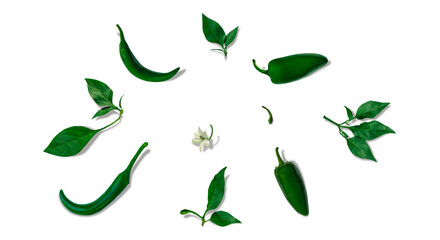 Set of spicy green chili and jalapeno peppers with leaves, flowers and buds laid out in a circle on...